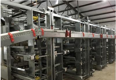 哪里有自動撿蛋機廠商 讓撿蛋變得很容易